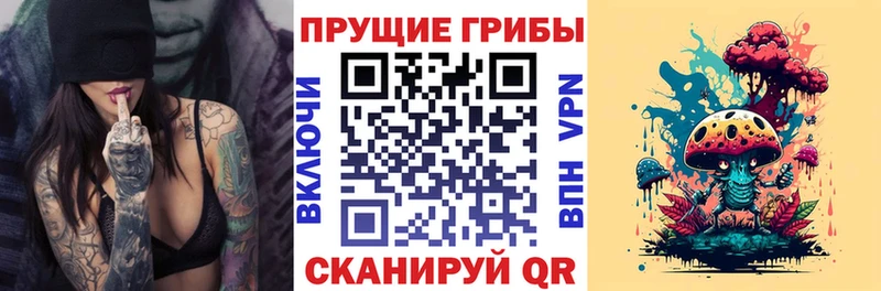 Псилоцибиновые грибы Cubensis  Горячеводский 